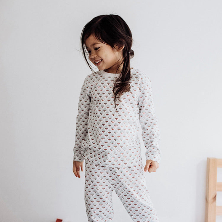 Organic Cotton Knit 2PC Pajama Sets | 6-12m