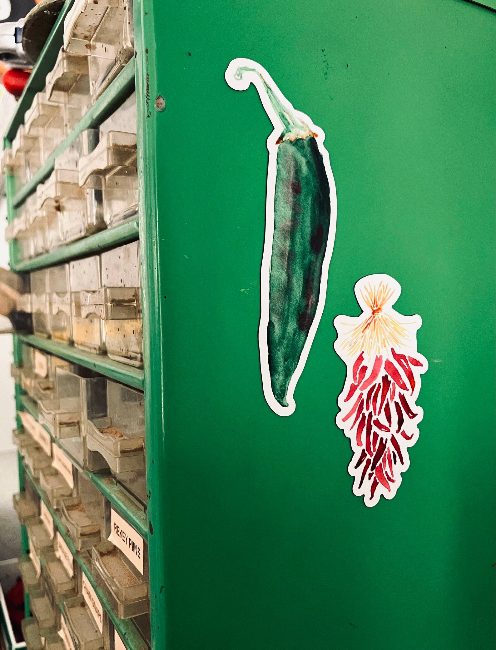 Chile Pepper Magnets