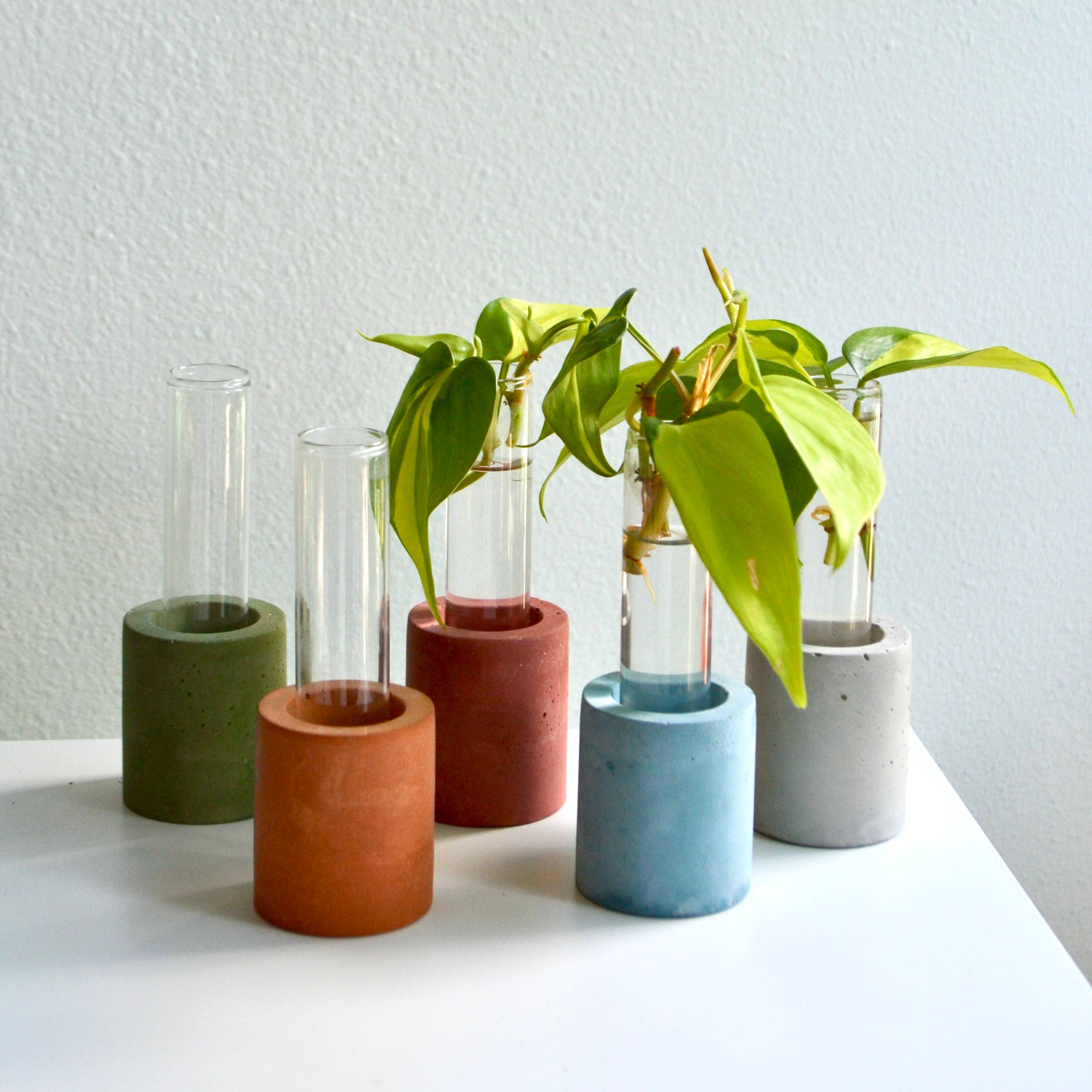 Concrete Propagation Test Tube | Lavender