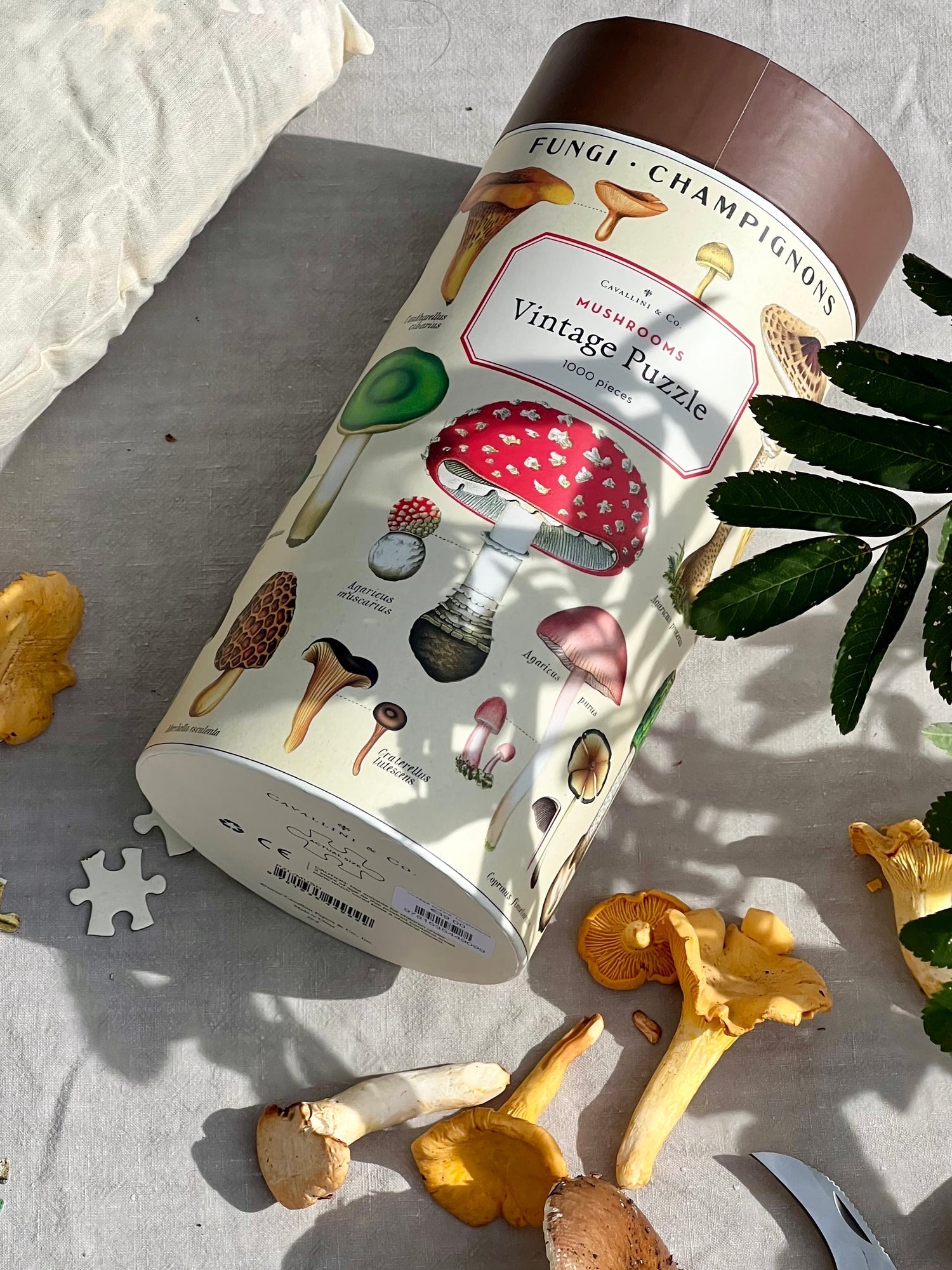 Fall Puzzles + Games