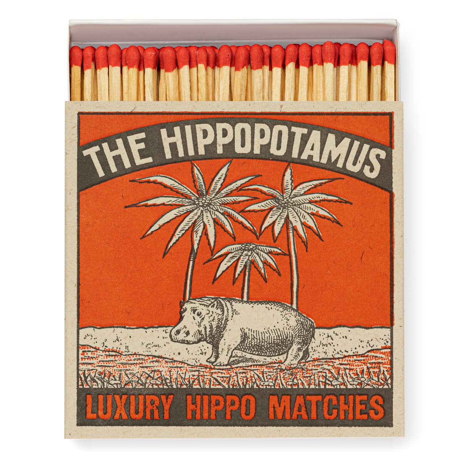 Hippo Square Matchbox