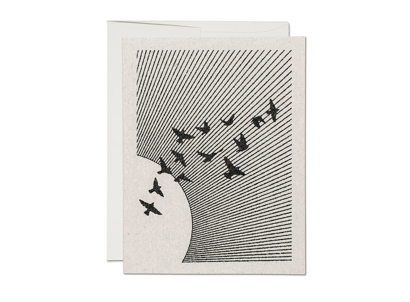 Flock | Everyday Greeting Card