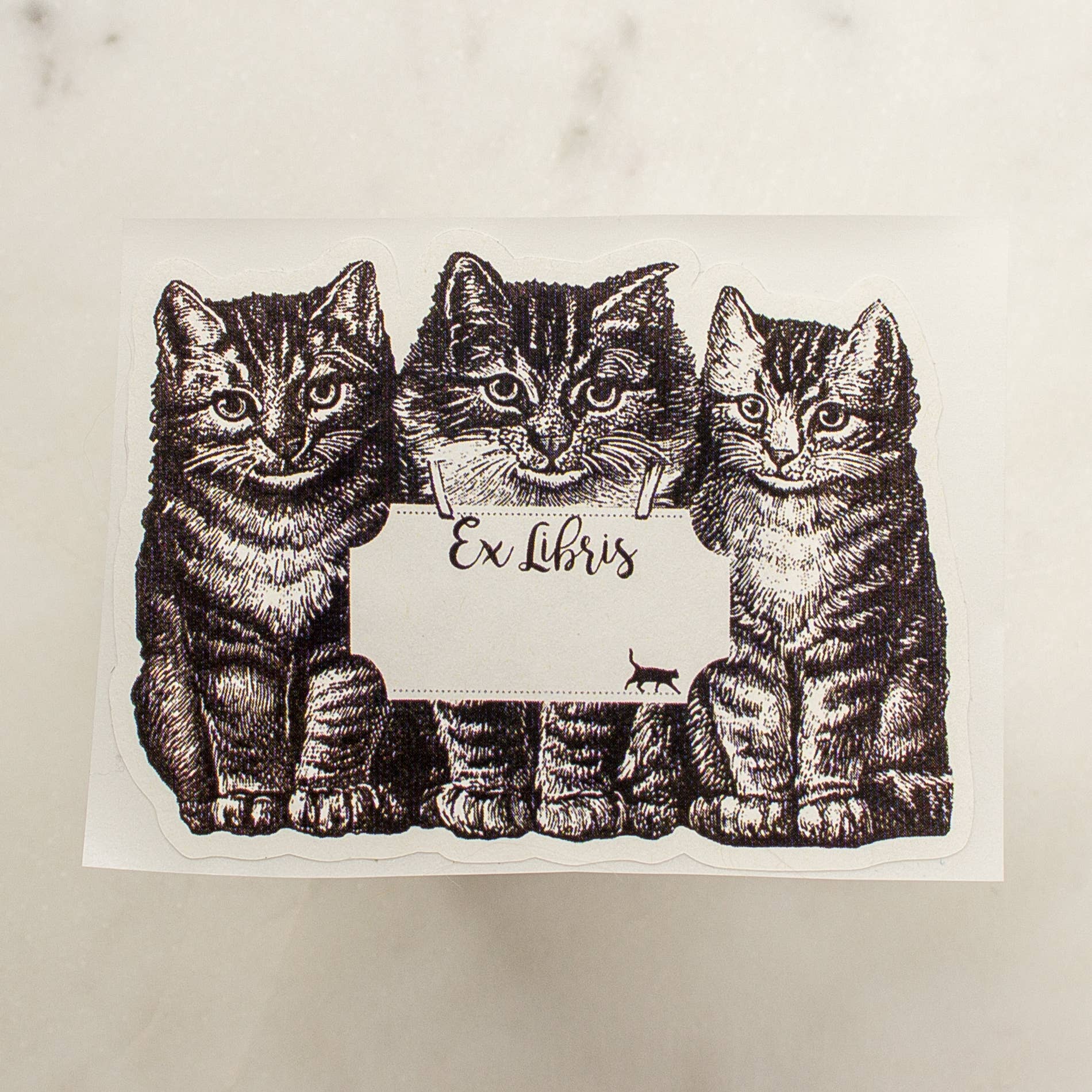 Cat Bookplate Stickers