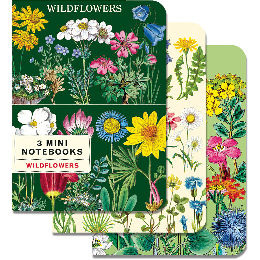 Wildflowers 2 Mini Notebooks