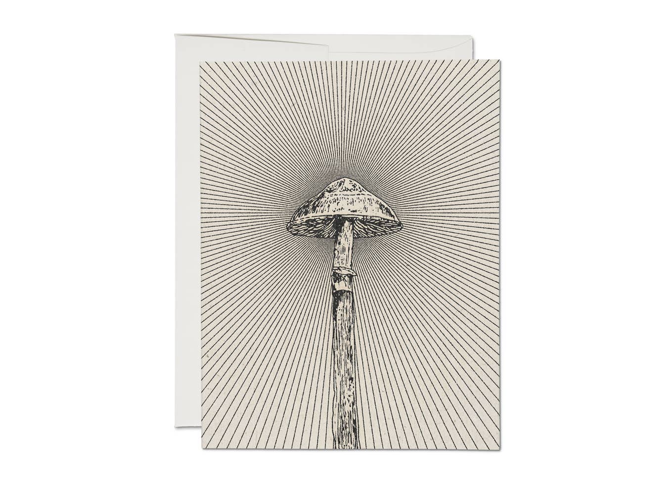 Shroom everyday greeting card