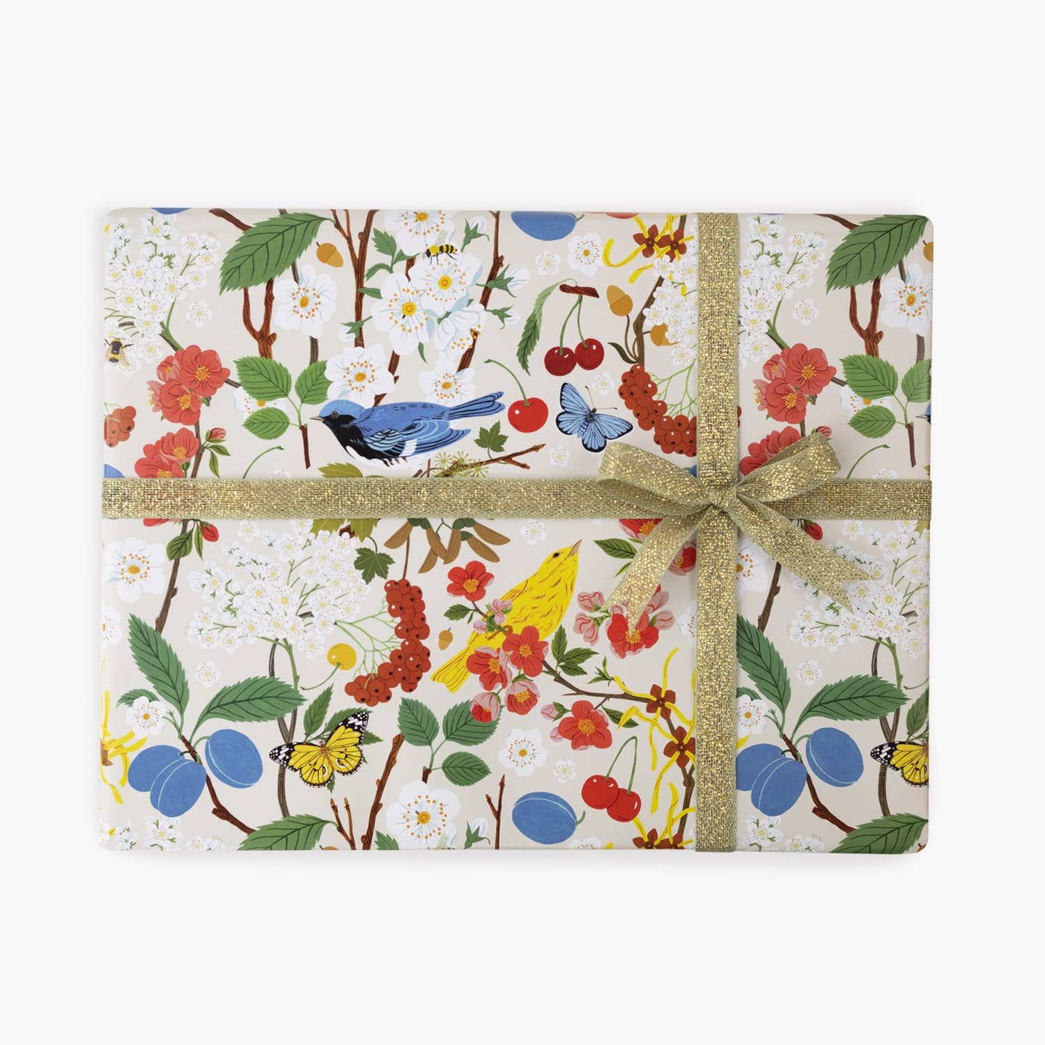 Tree Chatter | Double Sided Wrapping Paper