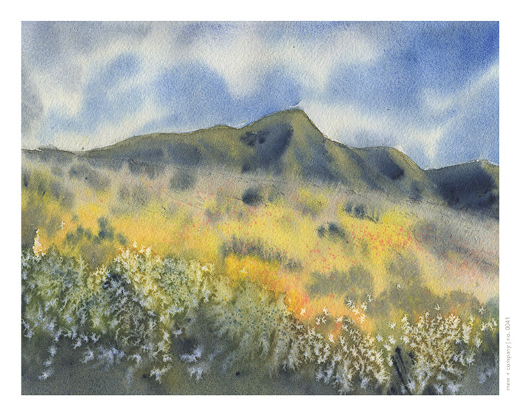 Art Print - Springtime in Aguirre No. 0040