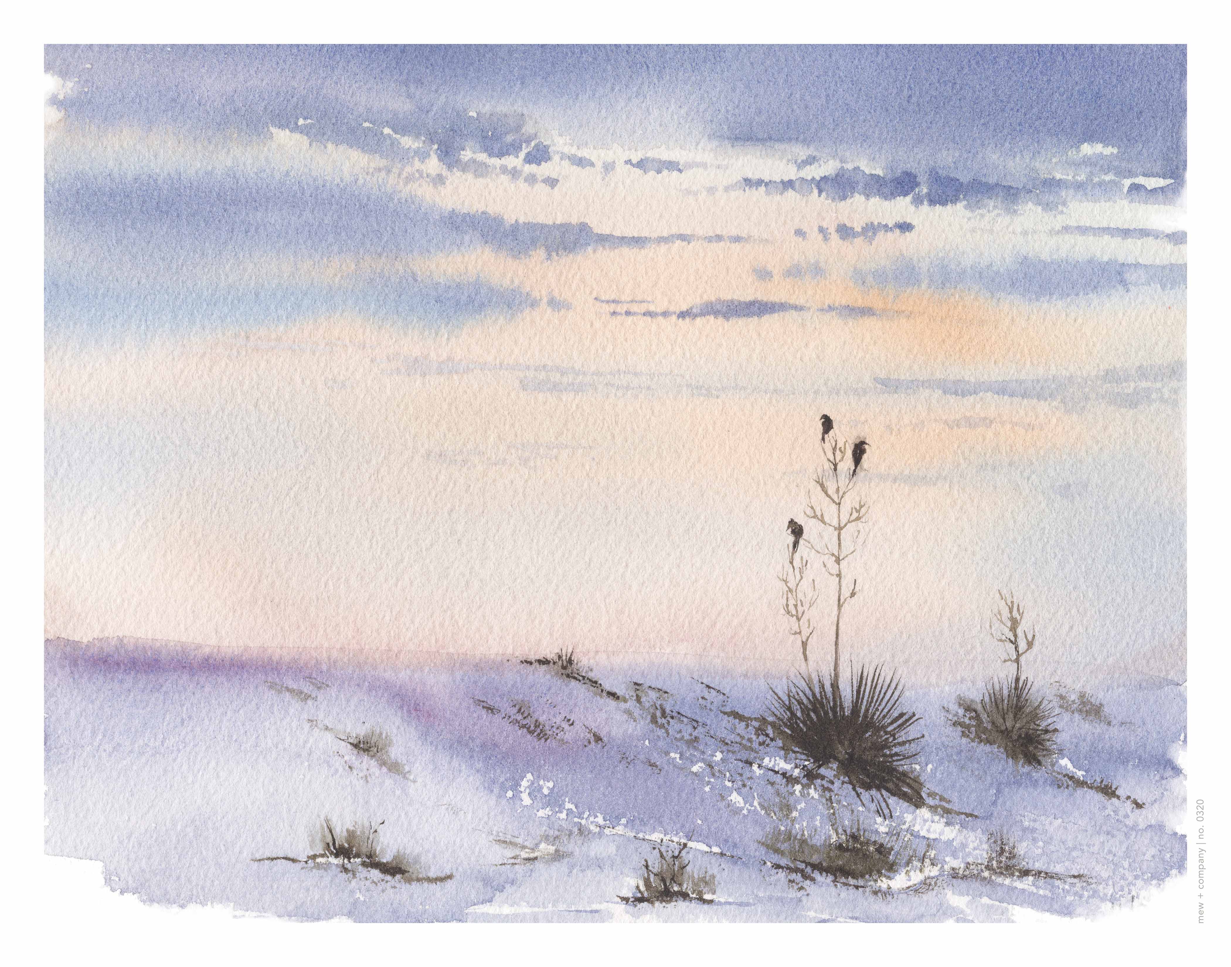 Art Print - White Sands No. 0320