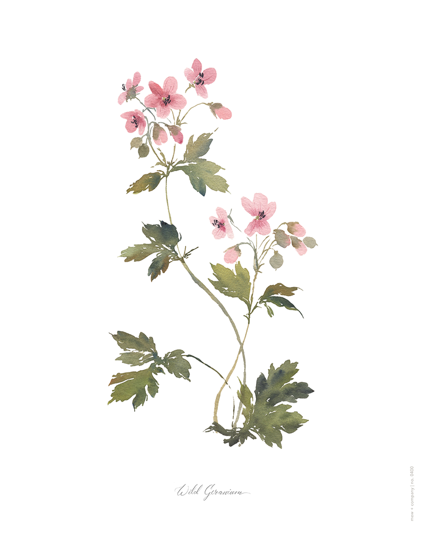 Art Print - Wild Geranium No. 0400