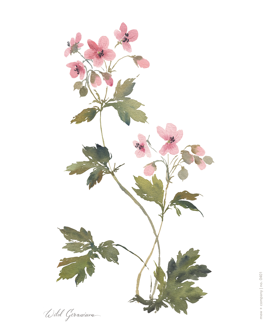 Art Print - Wild Geranium No. 0400