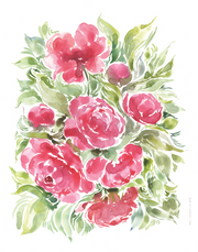 Art Print - Fuchsia Peonies No. 0630 | Discontinued 50% off