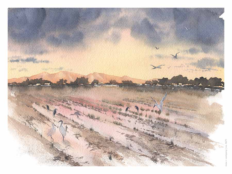 Art Print - Field of Dreams No. 0670