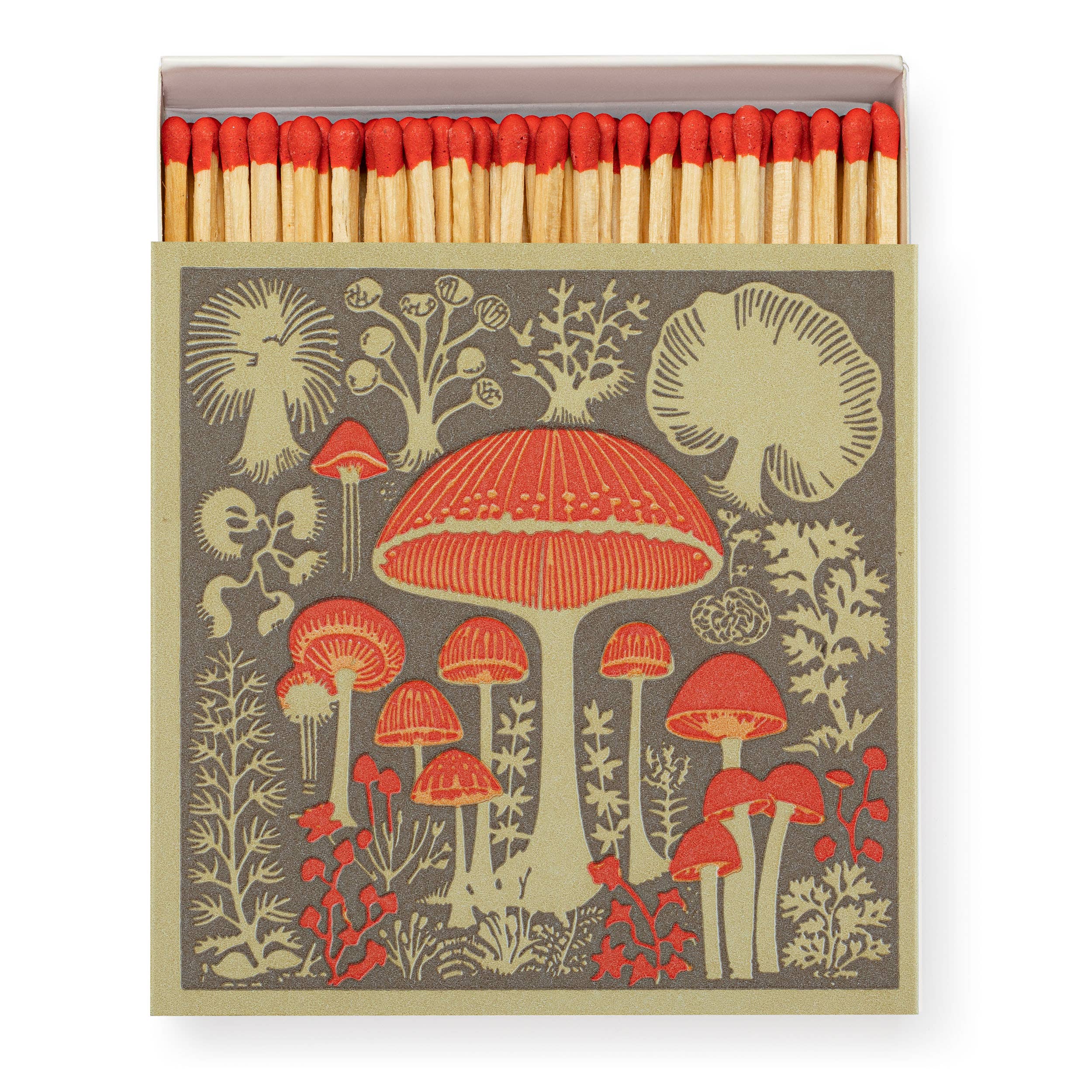 Mushrooms | Safety Matches