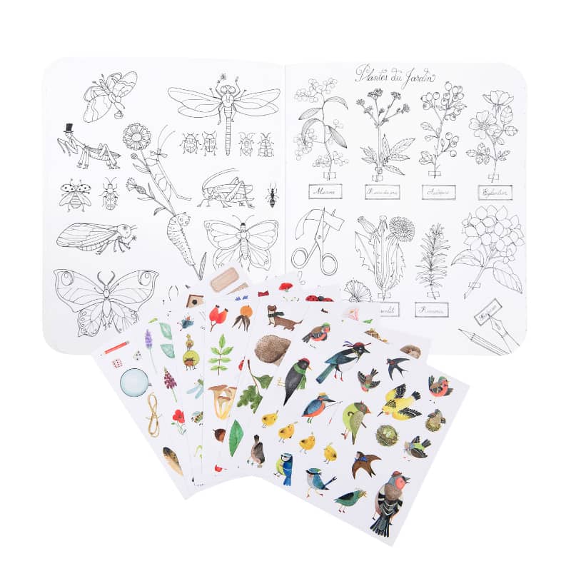 Little Botanist Coloring Book & Stickers