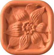 Brown Sugar Saver | Clematis Flower