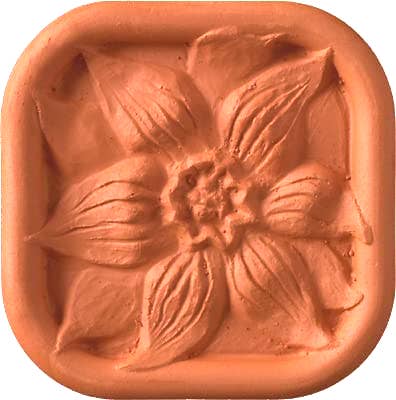 Brown Sugar Saver | Clematis Flower