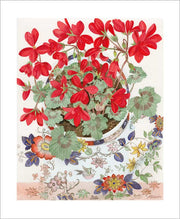 Pelargonium in a Floral Cup Card