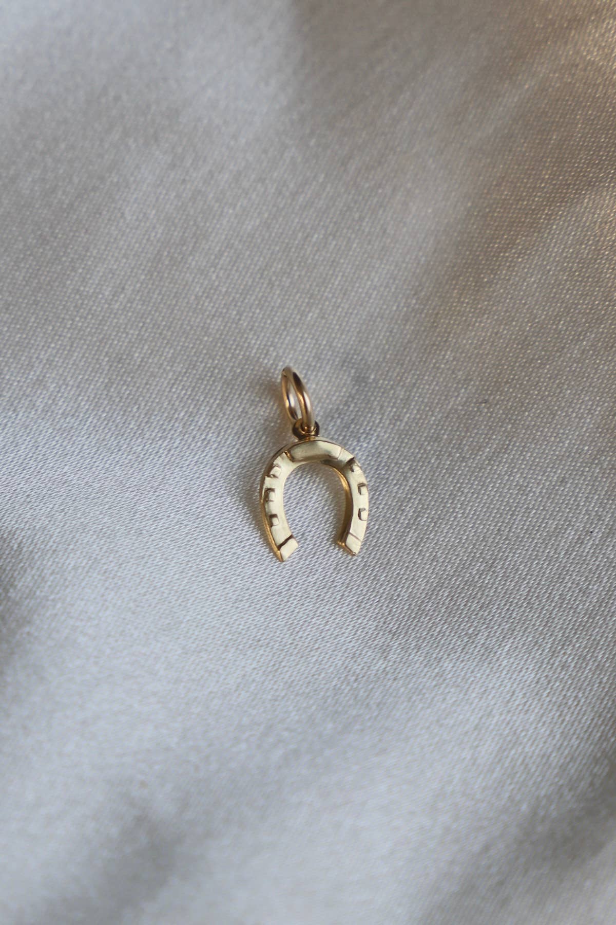 Horseshoe Charm