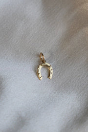Horseshoe Charm