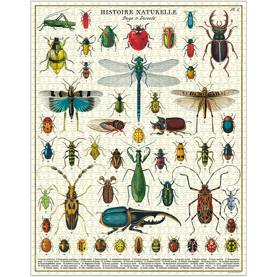 Bugs & Insects 1,000 Piece Puzzle