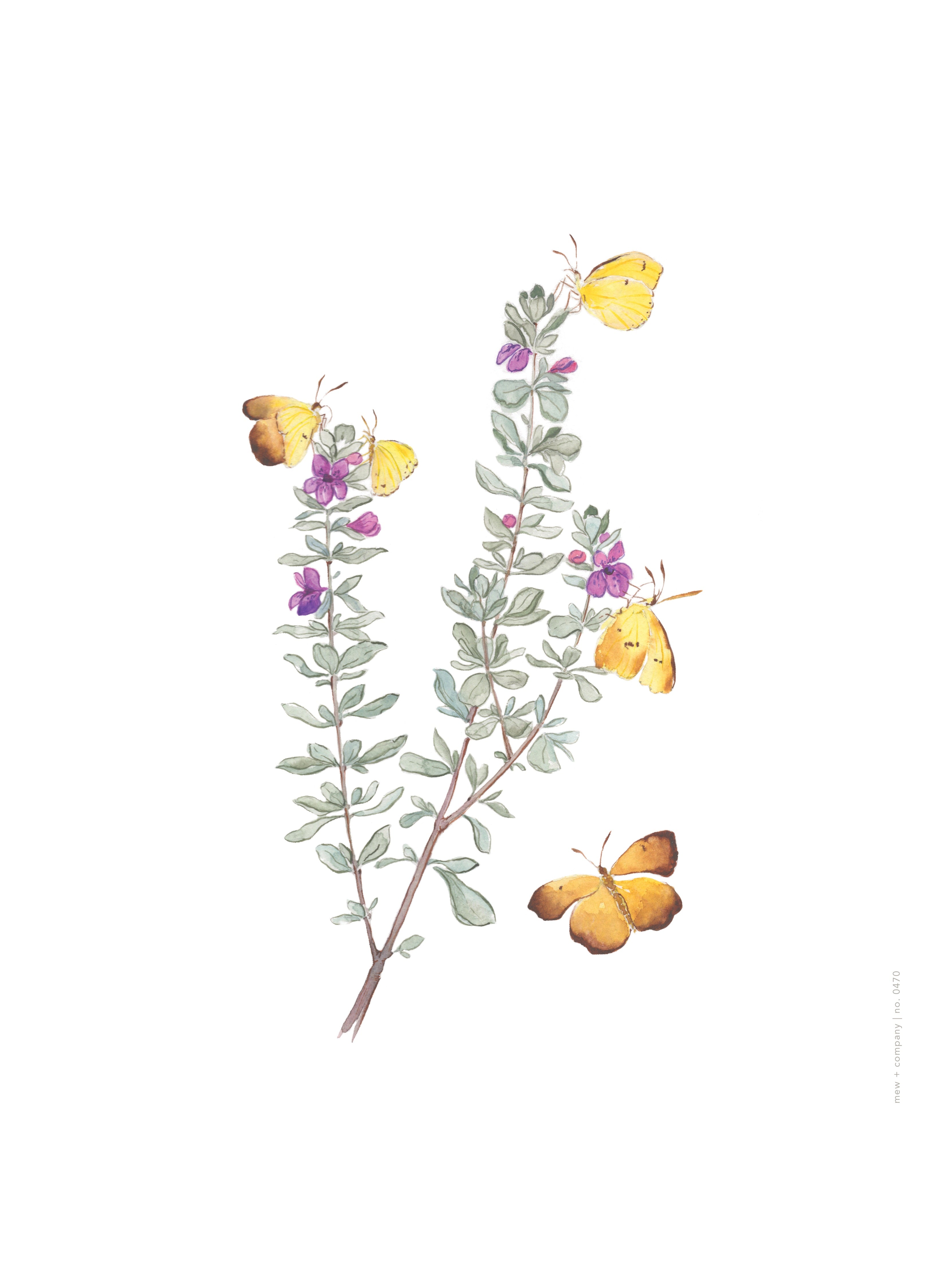Art Print - Sleepy Oranges No. 0470