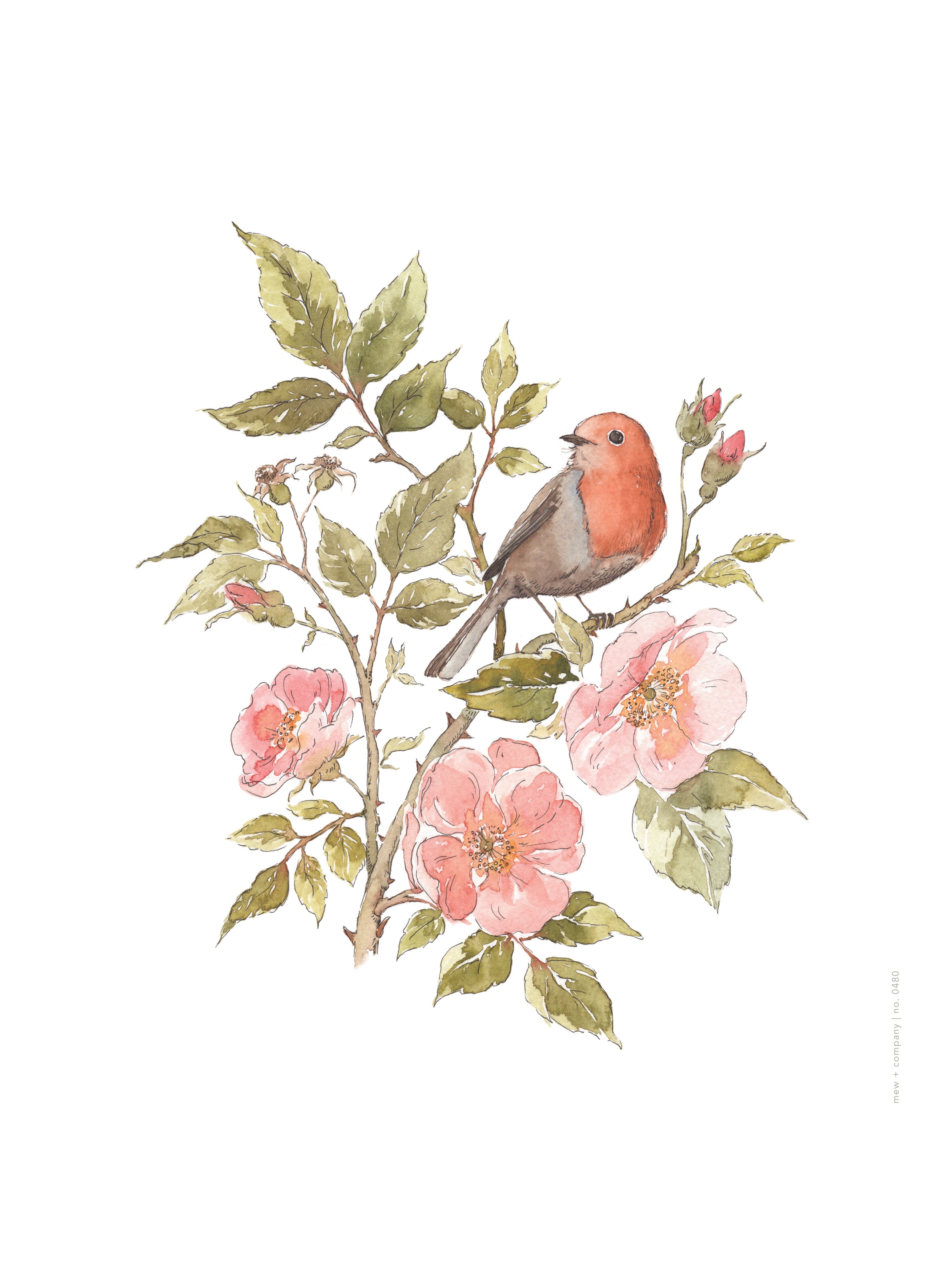 Art Print - Red Robin No. 0480