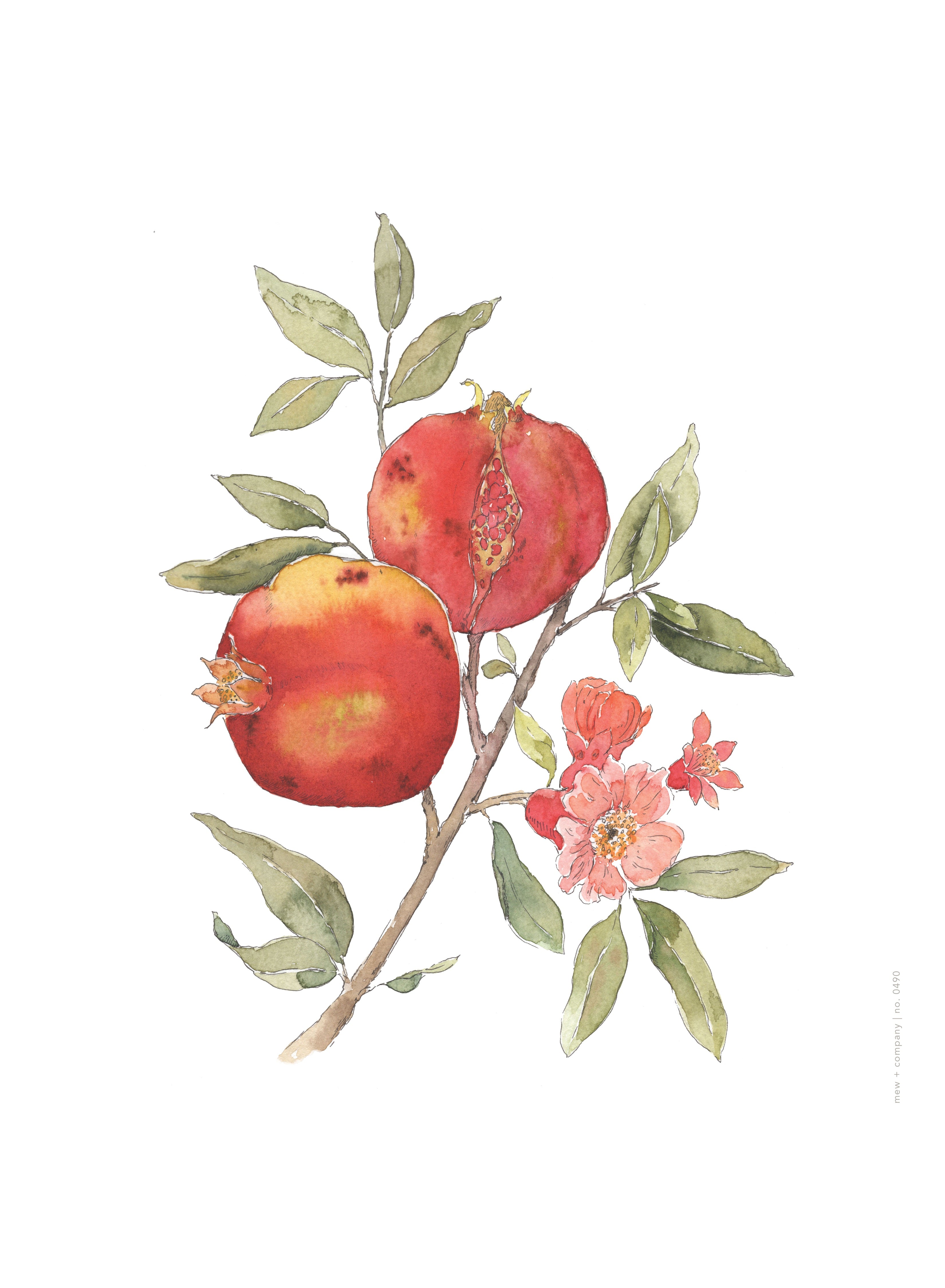 Art Print - Pomegranates No. 0490