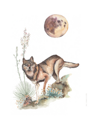 Art Print - Hagen's Wolf No. 0550