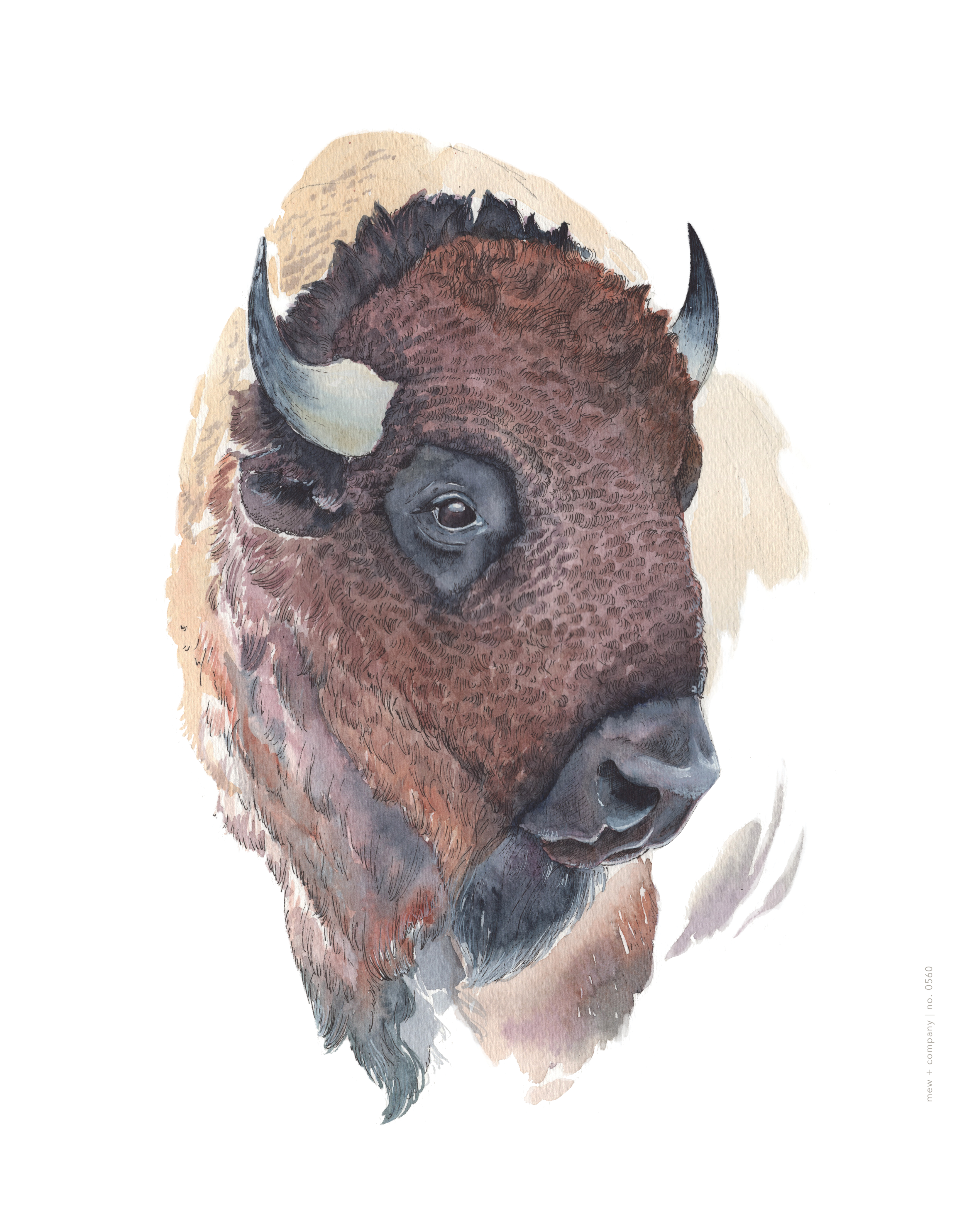 Art Print - Bison No. 0560