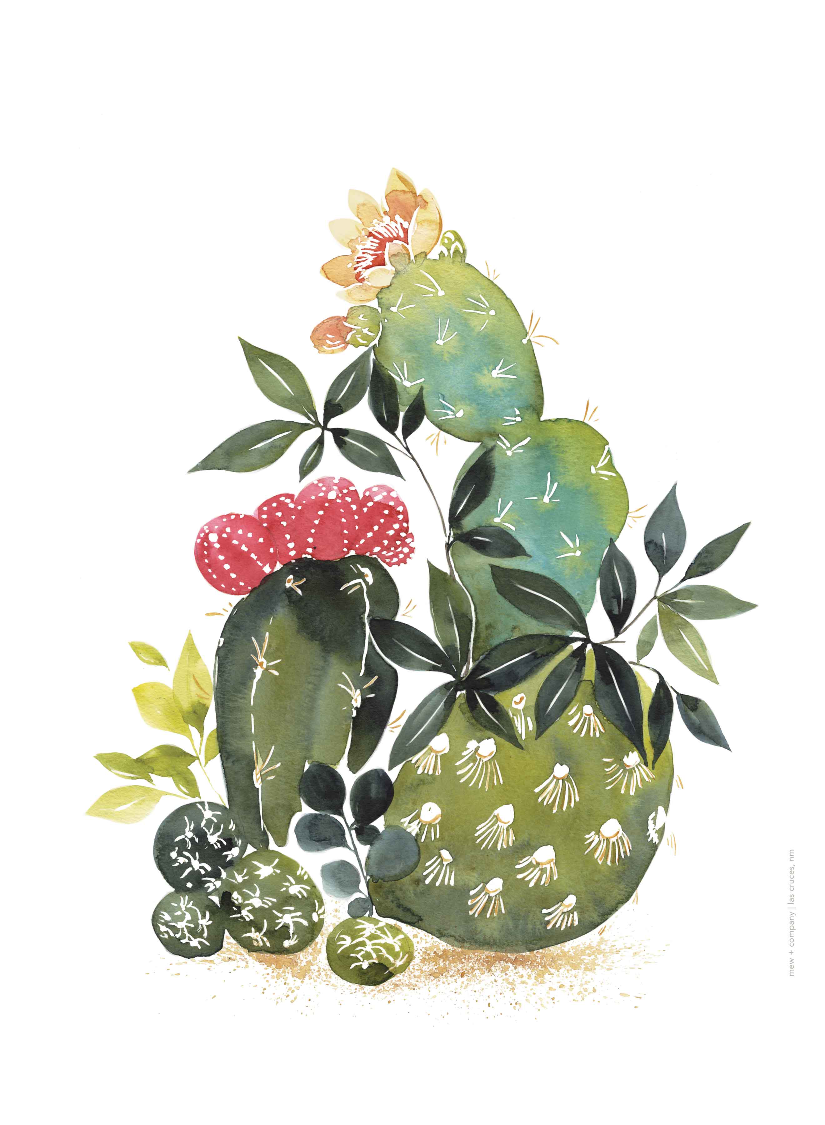 Art Print - Cactus Series 2 No. 0100