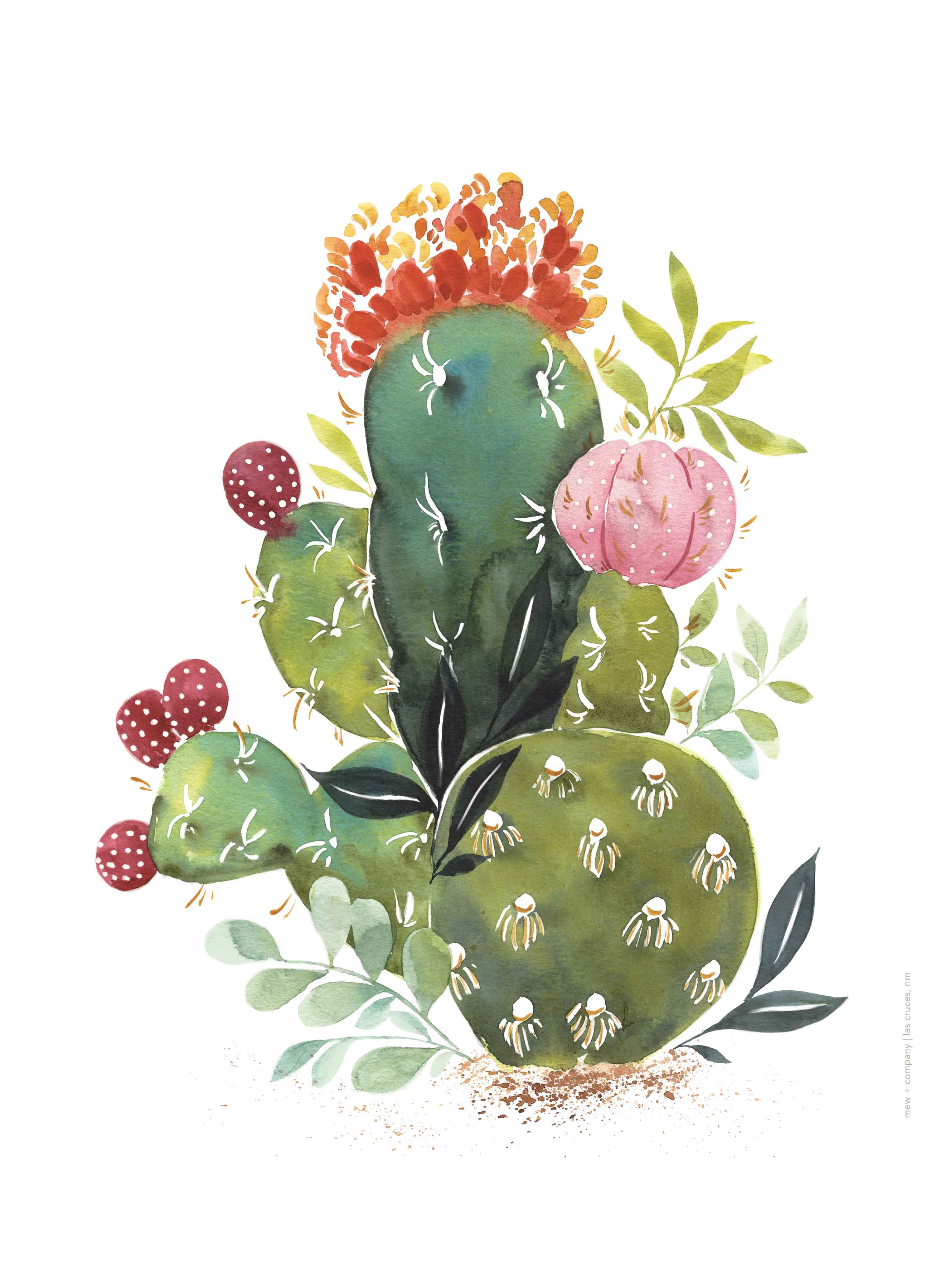 Art Print - Cactus Series 5 No. 0130
