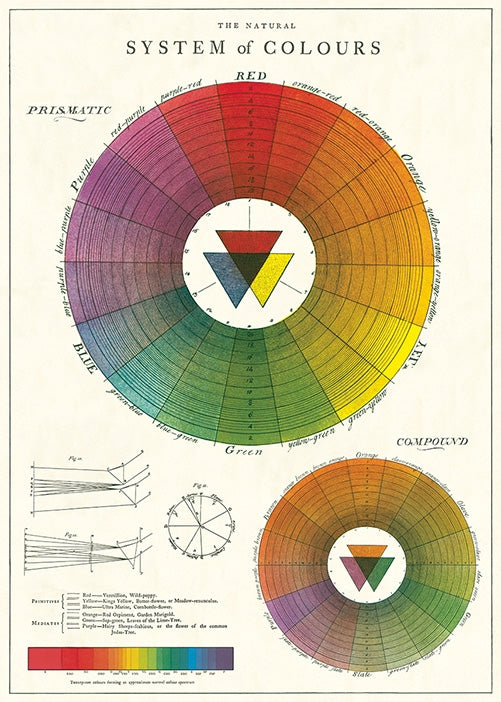 Color Wheel Poster/Wrap