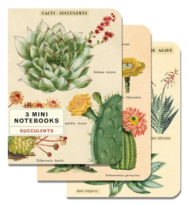 Succulents Mini Notebooks