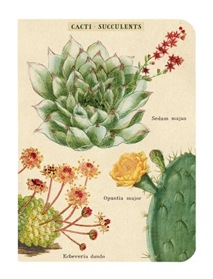 Succulents Mini Notebooks
