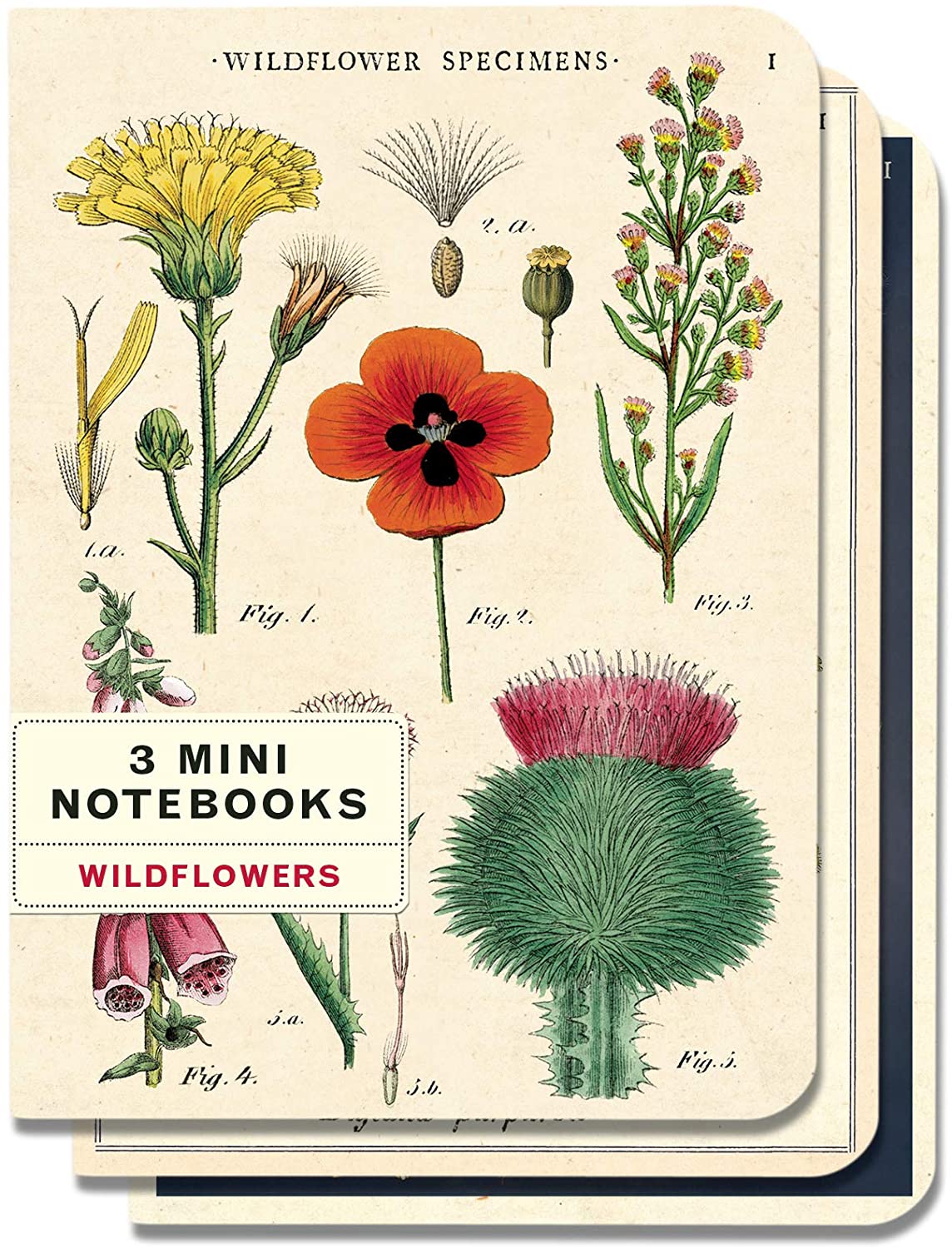 Wildflower Mini Notebooks
