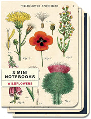 Wildflower Mini Notebooks