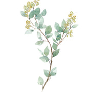 Art Print - Spring Eucalyptus No. 0391 | Discontinued 50% Off